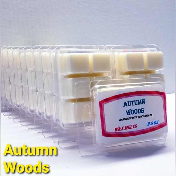 AUTUMN WOODS -Bath & Body Works Candle Wax Melts- $8 per pack - Picture 1 of 9